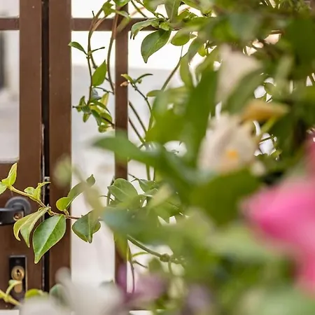 Lejlighed Cconforthotels Domus Venezia Bari